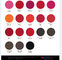 Coloree la tinta micro positiva del pigmento para los labios/ceja/lápiz de ojos 19 colores opcionales